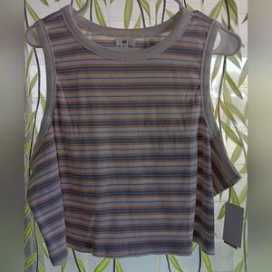 BP Multicolor Striped Cropped Tank Top